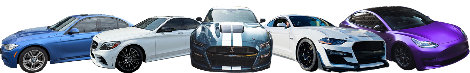 Project Presentation